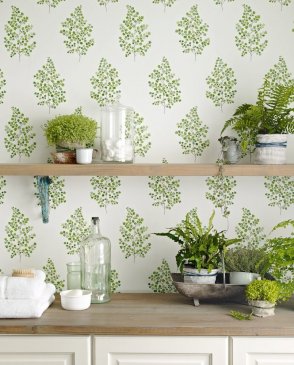 Обои Sanderson Maycott Wallpaper Maycott Wallpaper DMAY211998 изображение 1