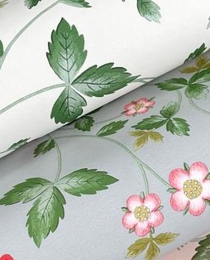 Обои Clarke & Clarke для спальни розовые Botanical Wonders W0135-01 изображение 1