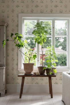 Обои Borastapeter Osterlen Osterlen 6951 изображение 5