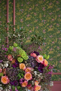 Английские Обои с птицами Hummingbirds Cream 124-1005 изображение 3