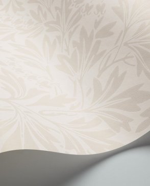 Обои COLE & SON Archive Traditional Archive Traditional 88-11045 изображение 2