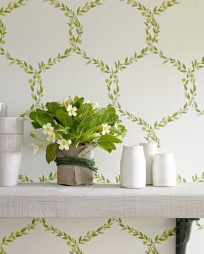 Обои Sanderson Maycott Wallpaper Maycott Wallpaper DMAY212008 изображение 1