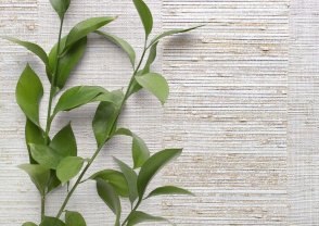 Американские Обои Carl Robinson Edition 20 Edition 20 CL50002 изображение 1