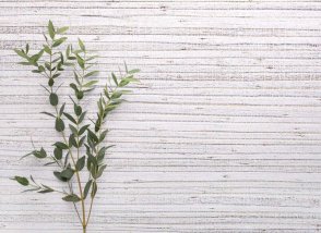 Американские Обои Carl Robinson Edition 20 Edition 20 CL50005 изображение 1