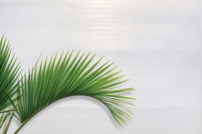 Американские Обои Carl Robinson Edition 20 Edition 20 CL50010 изображение 1