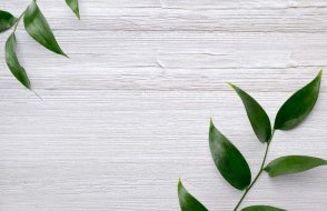 Американские Обои Carl Robinson Edition 20 Edition 20 CL50011 изображение 1