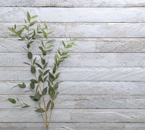 Американские Обои Carl Robinson Edition 20 Edition 20 CL50012 изображение 1