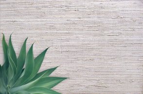 Американские Обои Carl Robinson Edition 20 Edition 20 CL50013 изображение 1