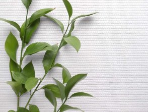 Американские Обои Carl Robinson Edition 20 Edition 20 CL50015 изображение 1