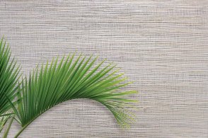 Американские Обои Carl Robinson Edition 20 Edition 20 CL50016 изображение 1