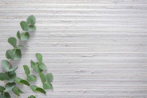 Американские Обои Carl Robinson Edition 20 Edition 20 CL50020 изображение 1