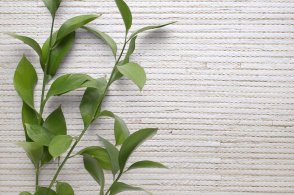 Американские Обои Carl Robinson Edition 20 Edition 20 CL50021 изображение 1