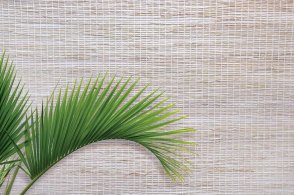 Американские Обои Carl Robinson Edition 20 Edition 20 CL50022 изображение 1