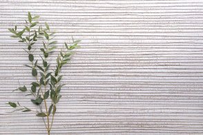 Американские Обои Carl Robinson Edition 20 Edition 20 CL50025 изображение 1