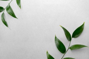 Американские Обои Carl Robinson Edition 20 Edition 20 CL50031 изображение 1