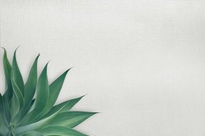 Американские Обои Carl Robinson Edition 20 Edition 20 CL50033 изображение 1