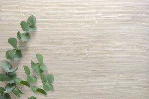 Американские Обои Carl Robinson Edition 20 Edition 20 CL50034 изображение 1