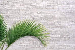 Американские Обои Carl Robinson Edition 20 Edition 20 CL50036 изображение 1