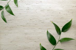 Американские Обои Carl Robinson Edition 20 Edition 20 CL50037 изображение 1