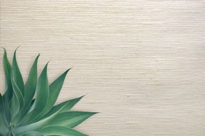 Американские Обои Carl Robinson Edition 20 Edition 20 CL50040 изображение 1