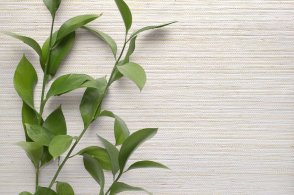 Американские Обои Carl Robinson Edition 20 Edition 20 CL50042 изображение 1