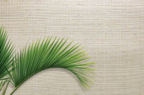 Американские Обои Carl Robinson Edition 20 Edition 20 CL50043 изображение 1