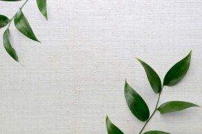 Американские Обои Carl Robinson Edition 20 Edition 20 CL50044 изображение 1