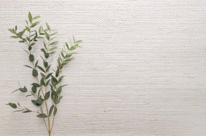 Американские Обои Carl Robinson Edition 20 Edition 20 CL50045 изображение 1