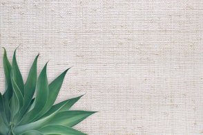 Американские Обои Carl Robinson Edition 20 Edition 20 CL50046 изображение 1