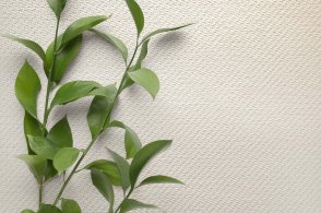 Американские Обои Carl Robinson Edition 20 Edition 20 CL50048 изображение 1