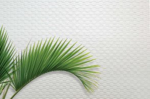 Американские Обои Carl Robinson Edition 20 Edition 20 CL50049 изображение 1