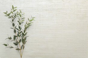 Американские Обои Carl Robinson Edition 20 Edition 20 CL50051 изображение 1