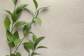 Американские Обои Carl Robinson Edition 20 Edition 20 CL50054 изображение 1