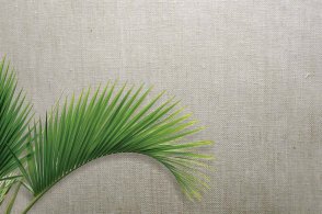 Американские Обои Carl Robinson Edition 20 CL50055 изображение 1