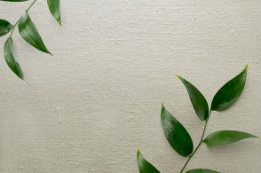 Американские Обои Carl Robinson Edition 20 CL50056 изображение 1