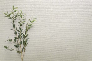 Американские Обои Carl Robinson Edition 20 CL50057 изображение 1