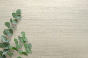 Обои в стиле минимализма Edition 20 CL50059 изображение 1