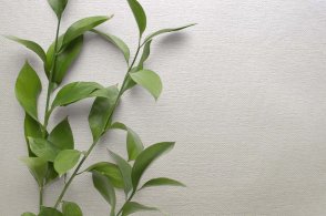 Обои в стиле минимализма Edition 20 CL50060 изображение 1