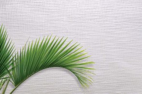 Обои в стиле минимализма Edition 20 CL50061 изображение 1