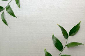 Обои в стиле минимализма Edition 20 CL50062 изображение 1