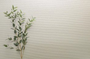 Обои в стиле минимализма Edition 20 CL50063 изображение 1