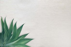 Обои в стиле минимализма Edition 20 CL50064 изображение 1