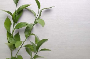 Обои в стиле минимализма Edition 20 CL50066 изображение 1