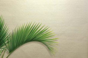 Обои в стиле минимализма Edition 20 CL50067 изображение 1