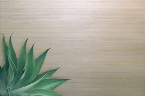 Обои в стиле минимализма Edition 20 CL50070 изображение 1