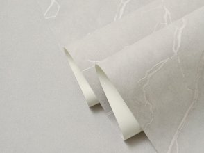 Обои Wall Up Bright Whisper Bright Whisper W190113 изображение 3