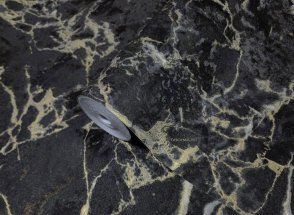 Обои Philipp Plein 2 Z81002 изображение 1